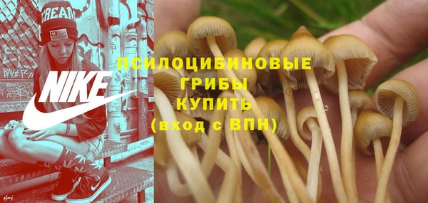 хмурый Сафоново